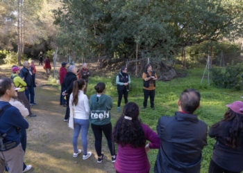 Éxito de participación en la ruta ‘Los caminos del agua’ organizada por Patrimonio Cultural
