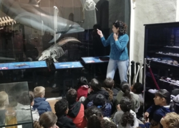 Más de 2000 personas han visitado el Museo de Historia Natural de Torrevieja con motivo de la XVI Semana de la Ciencia