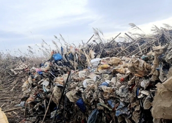 Comienzan los trabajos de limpieza y recuperación de l’Albufera de València tras los daños de la riada