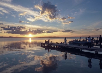 El Palmar: el corazón de la Albufera late con fuerza tras la DANA