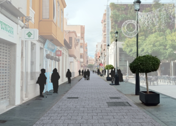 El Ayuntamiento llevará adelante un nuevo proyecto para transformar Pintor Picasso en una vía más accesible e integrada con el entorno