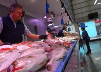 «Se hace una estimación de lo que se va a vender, no puedes almacenarlo»