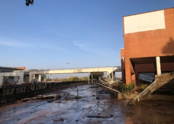 Una decisión que salvó muchas vidas