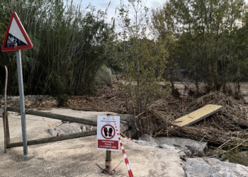 Cañas y barro junto al Turia