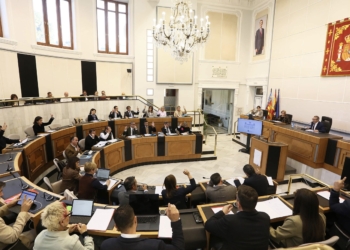 El Pleno de la Diputación exige la retirada del nuevo registro de viajeros