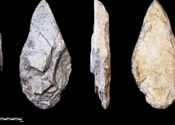 Herramientas de piedra de hace más de 40.000 años revelan la adaptación humana a la selva tropical