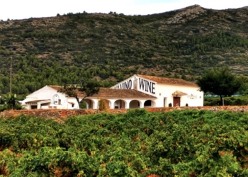 El empresario alfasino Pepe Mendoza inicia 2025 liderando en Alicante según Robert Parker