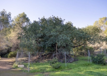 La oficina Pangea reactiva el lunes el ‘Punto de Encuentro’ con la ruta guiada ‘Los caminos del agua’