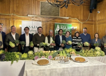 Comienza la campaña de hortalizas de invierno del Camp d’Elx