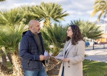 Alrededor de 300 arbustos aguardan a ser plantados el domingo en l’Alfàs para celebrar el Día del Árbol