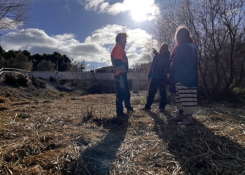 Medio Ambiente acomete los trabajos anuales de desbroce, limpieza y mantenimiento de la Rambla de Puça en su tramo urbano
