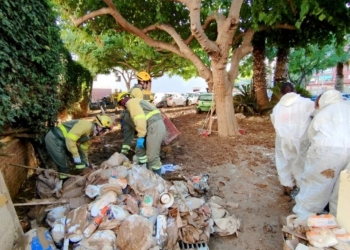 «La comunidad educativa ha demostrado una capacidad de adaptación admirable»