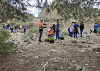 Medio Ambiente conmemora el Día del Árbol con la plantación de 250 ejemplares en la costa y en la sierra de Orihuela