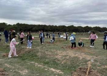 Finaliza la plantación de especies autóctonas en el Parque Natural con motivo del Día del Árbol 2025