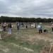Finaliza la plantación de especies autóctonas en el Parque Natural con motivo del Día del Árbol 2025