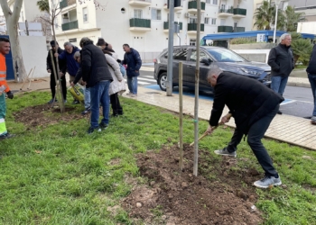 Altea celebra el Día del Árbol de la Comunidad Valenciana con una plantación en el Casco Urbano