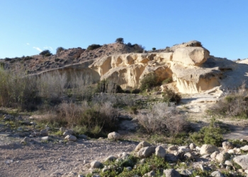 El Ayuntamiento insiste ante la CHS en un convenio para limpiar los barrancos de Elche