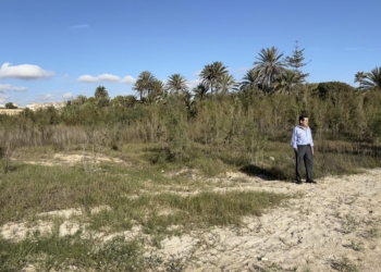 La Concejalía de Costa mejora el entorno de la playa de La Glea con la limpieza en el río Nacimiento