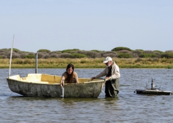 Doñana registra un nuevo mínimo histórico de aves acuáticas invernantes