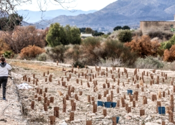 Elda da inicio a la Semana de la Reforestación con alta participación del alumnado