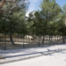 La alcaldesa anuncia la creación de un nuevo parque canino