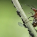 Un artículo de la UA señala que la fotografía de naturaleza mantiene un sesgo con el mundo real