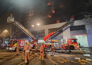 El Pleno aprueba conceder la Medalla de la Gratitud 2025 a 65 entidades que prestaron su colaboración en el incendio de Campanar