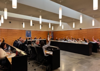 El pleno aprueba la constitución del primer Consejo de diversidad funcional para trabajar en la integración del colectivo en San Vicente