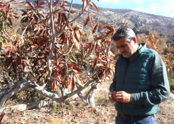 «La UE se olvida de que está poniendo en peligro al sector primario»