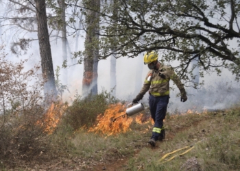 Sensores optimizados miden en tiempo real la exposición de los bomberos a aerosoles tóxicos durante los incendios forestales