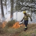 Sensores optimizados miden en tiempo real la exposición de los bomberos a aerosoles tóxicos durante los incendios forestales