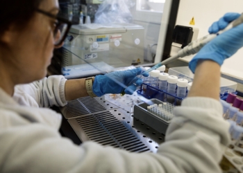 Crean una unidad mixta para desarrollar cultivos celulares tridimensionales con fines terapéuticos