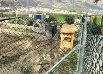 Los Huertos Urbanos acogen dos hoteles para insectos que favorecen la biodiversidad