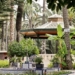 Elche dedicará una palmera en el parque municipal a la ciudad de Castellón