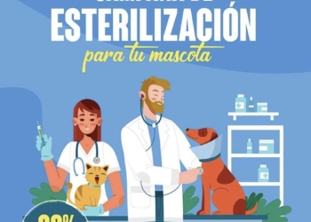 La Campaña de Esterilización de Mascotas 2025 comenzará el 1 de abril