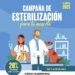 La Campaña de Esterilización de Mascotas 2025 comenzará el 1 de abril