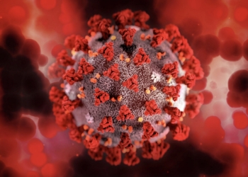 Desarrollan un antiviral de amplio espectro basado en una sustancia del caparazón de los crustáceos