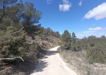 Elda realiza tareas de mantenimiento y prevención de incendios forestales en la vertiente norte de Camara