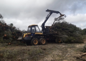 Alcoy solicita subvención para actuaciones del Plan Local de Prevención de Incendios Forestales