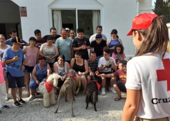 «Son perros que mejoran el ánimo y despiertan estímulos muy beneficiosos»