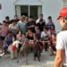 «Son perros que mejoran el ánimo y despiertan estímulos muy beneficiosos»