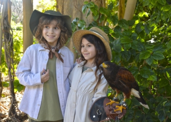 Un año de aventuras en Terra Natura Benidorm