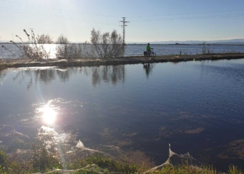 Viajando y visitando con responsabilidad