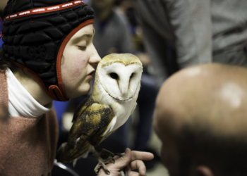 Aves rapaces como terapia: el innovador proyecto de Magic Eagle