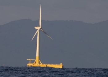 Un estudio propone crear mapas de riesgo para identificar el impacto de las eólicas marinas en la fauna