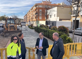 Petrer finaliza la renovación del arbolado del bulevar de la avenida Felipe V