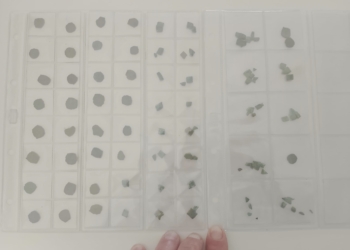 Localizan en las Islas Columbretes más de 30 monedas sin acuñar pertenecientes a un taller de falsificación de finales del siglo XVII