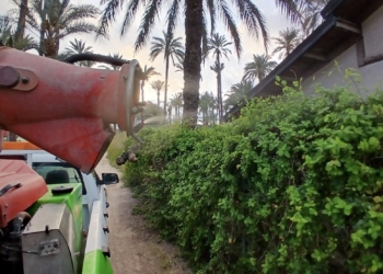 Medio Ambiente licita el contrato para la prevención de plagas de mosquitos