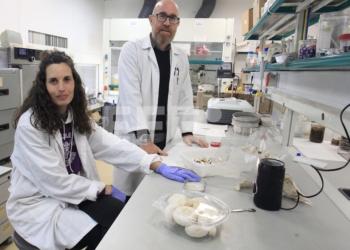 Un estudio en el que participa la UMH concluye que el ‘umami’ de las setas reduce la sal de productos cárnicos frescos y cocidos