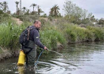 Elche intensifica la fumigación para frenar la proliferación de mosquitos